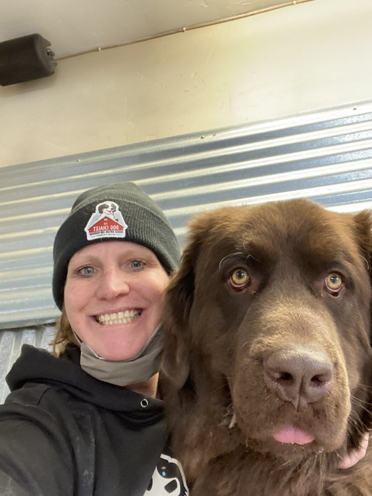 Need to board your pet? Readers chose The Dog Chalet as the best pet